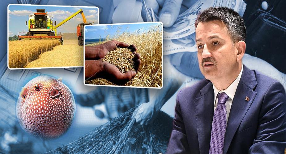 YAKLAŞIK 140 MİLYON LİRALIK DESTEK ÖDEMELERİNE BUGÜN BAŞLANIYOR