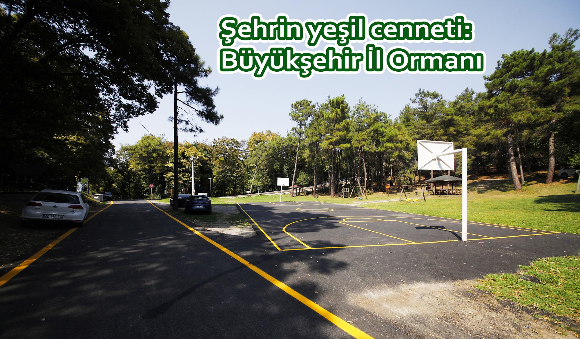 Şehrin yeşil cenneti: Büyükşehir İl Ormanı