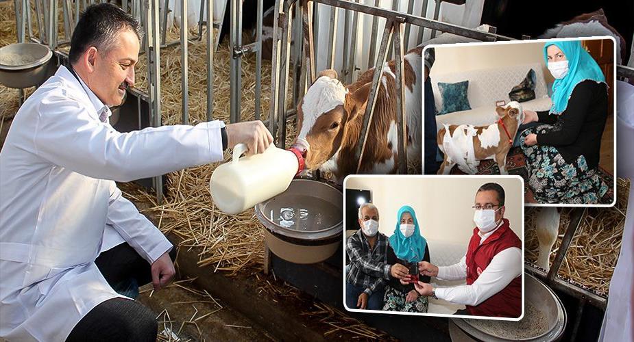 BAKAN PAKDEMİRLİ'DEN PREMATÜRE BUZAĞI 