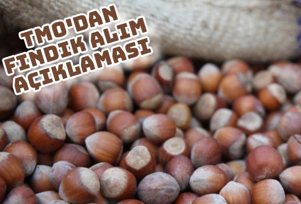TMO'dan fındık alım açıklaması  