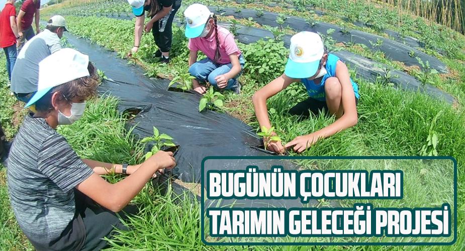 Bugünün Çocukları, Tarımın Geleceği Projesi
