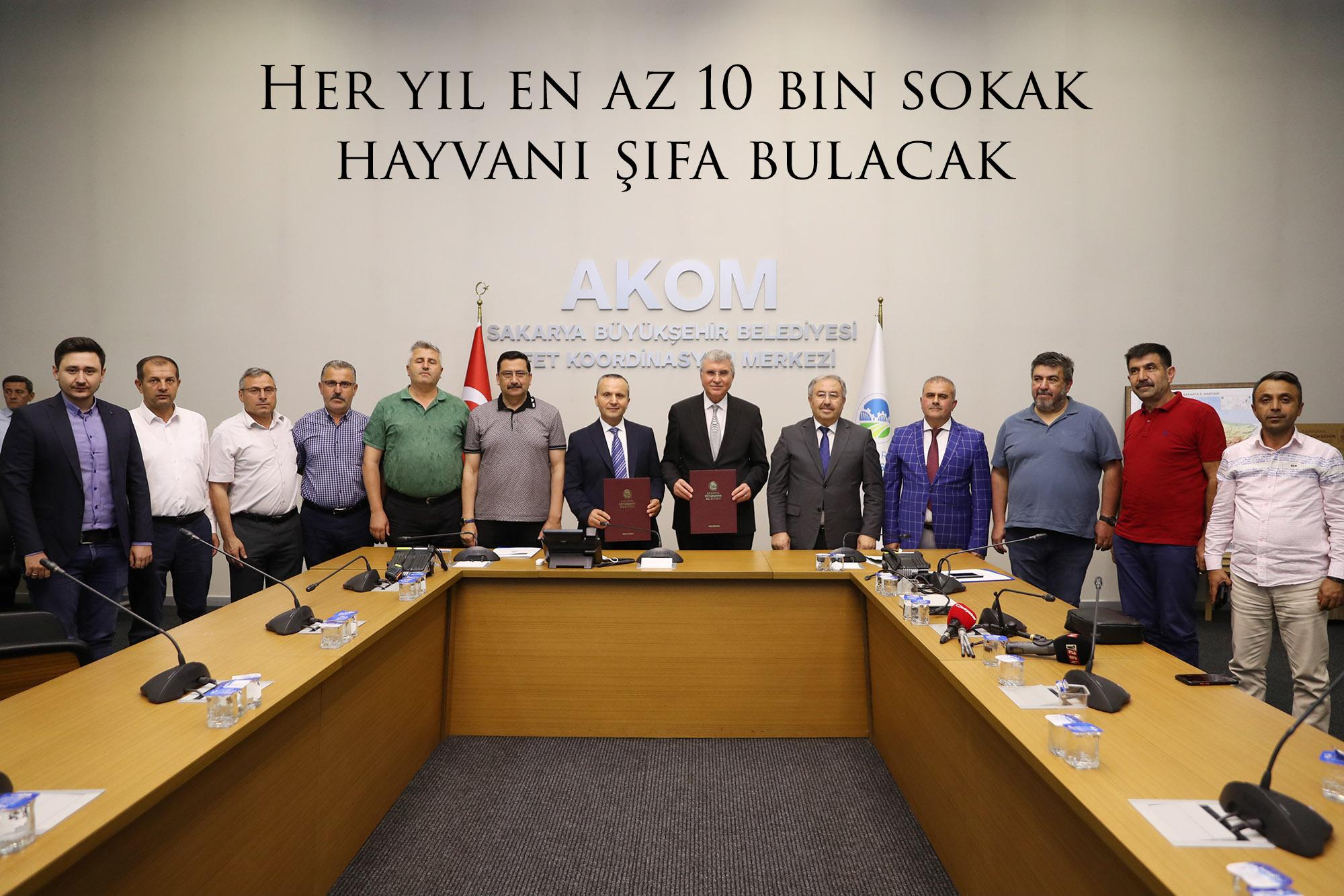 Her yıl en az 10 bin sokak hayvanı şifa bulacak