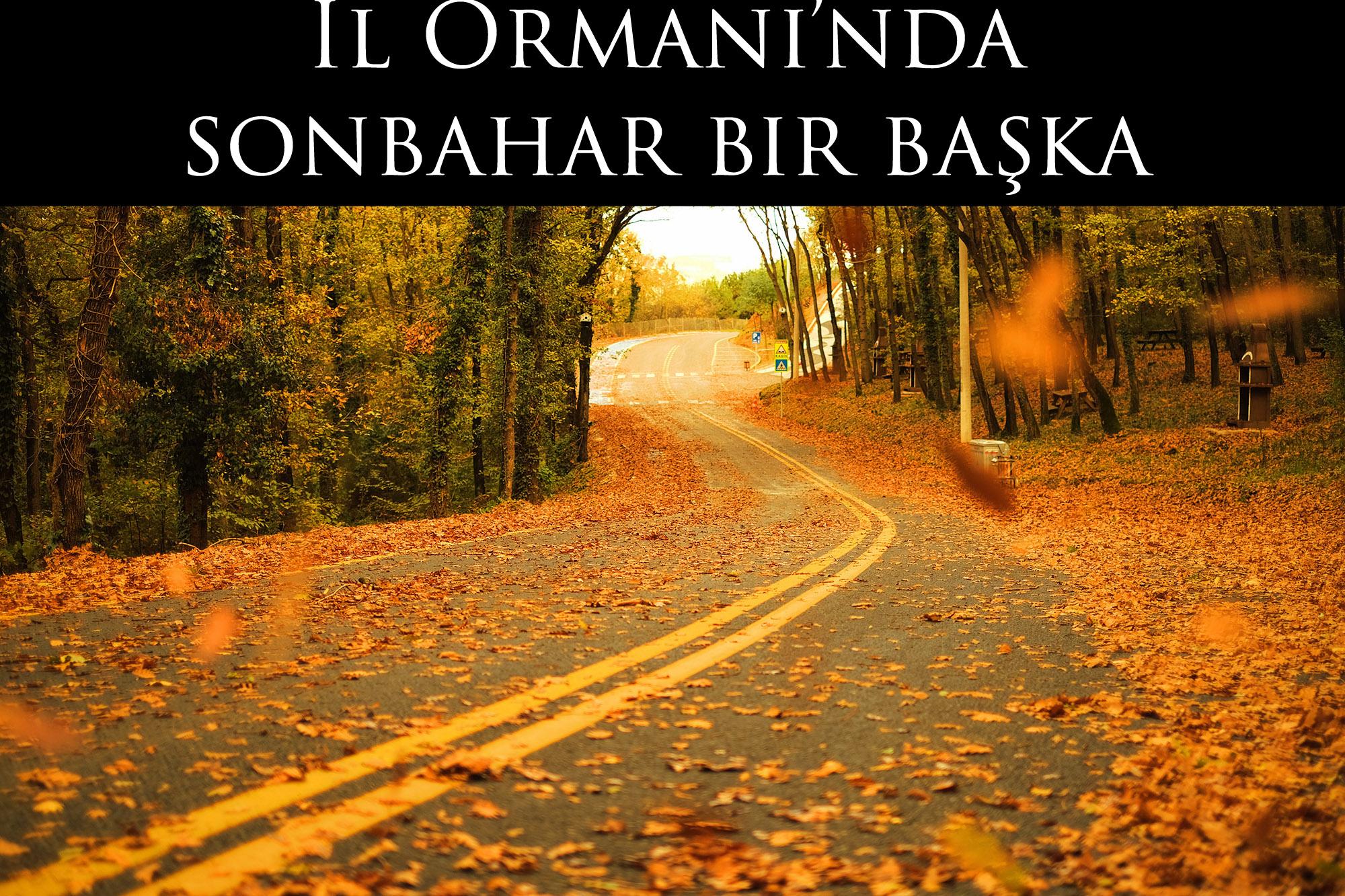 İl Ormanı’nda sonbahar bir başka