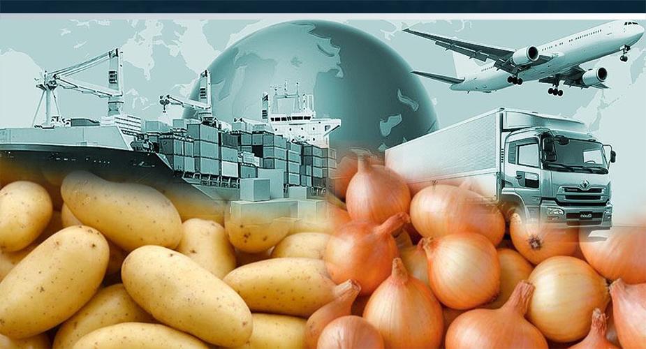 2020’DE PATATES ÜRETİMİ 5 MİLYON 200 BİN TON, SOĞAN ÜRETİMİ 2 MİLYON 280 BİN TON OLDU