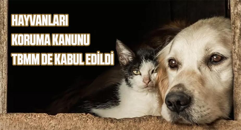 Hayvanları Koruma Kanunu TBMM'de kabul edildi  