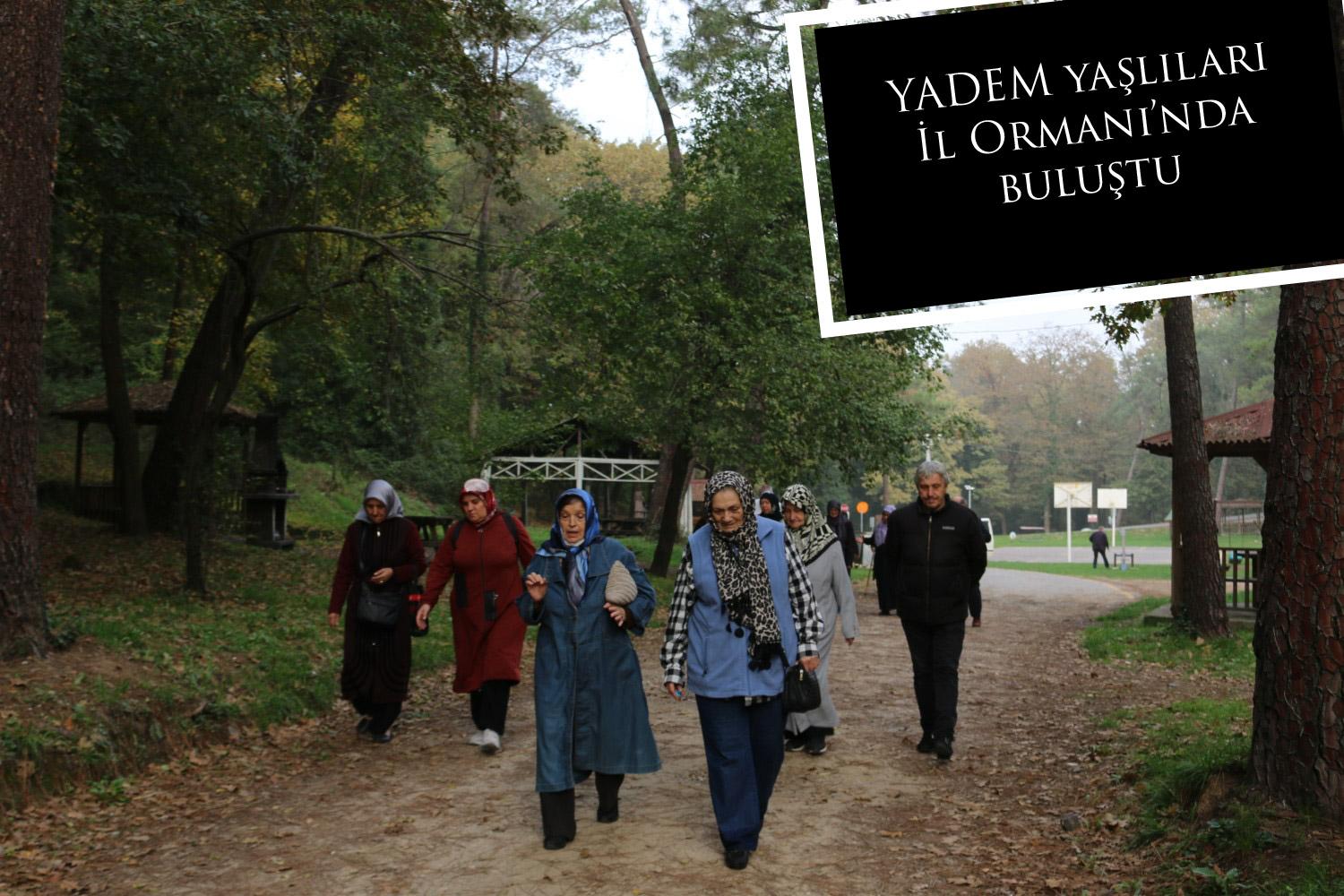 YADEM yaşlıları İl Ormanı’nda buluştu