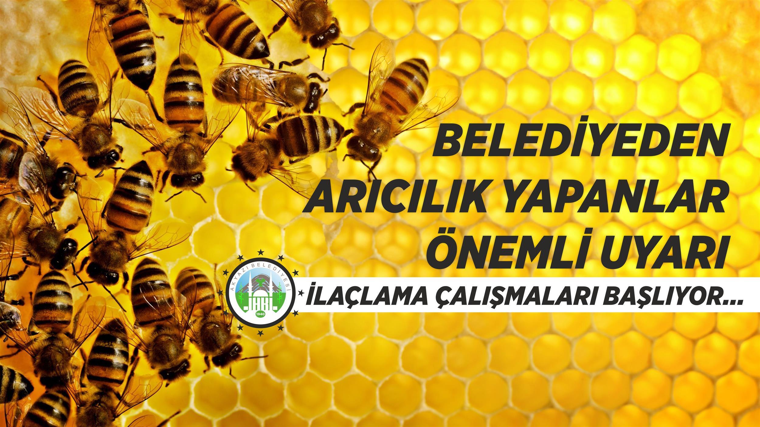 AKYAZI'DA ARICILIK YAPANLAR İÇİN İLAÇLAMA ÇALIŞMALARI BAŞLIYOR