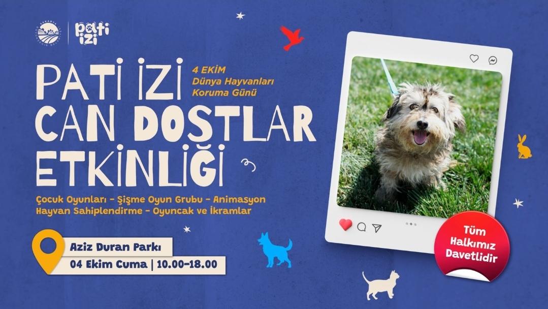 Can dostlar rengarenk günde yeni aileleriyle tanışacak Büyükşehir’den hayvan sahiplenme konusunda Türkiye’ye örnek adım