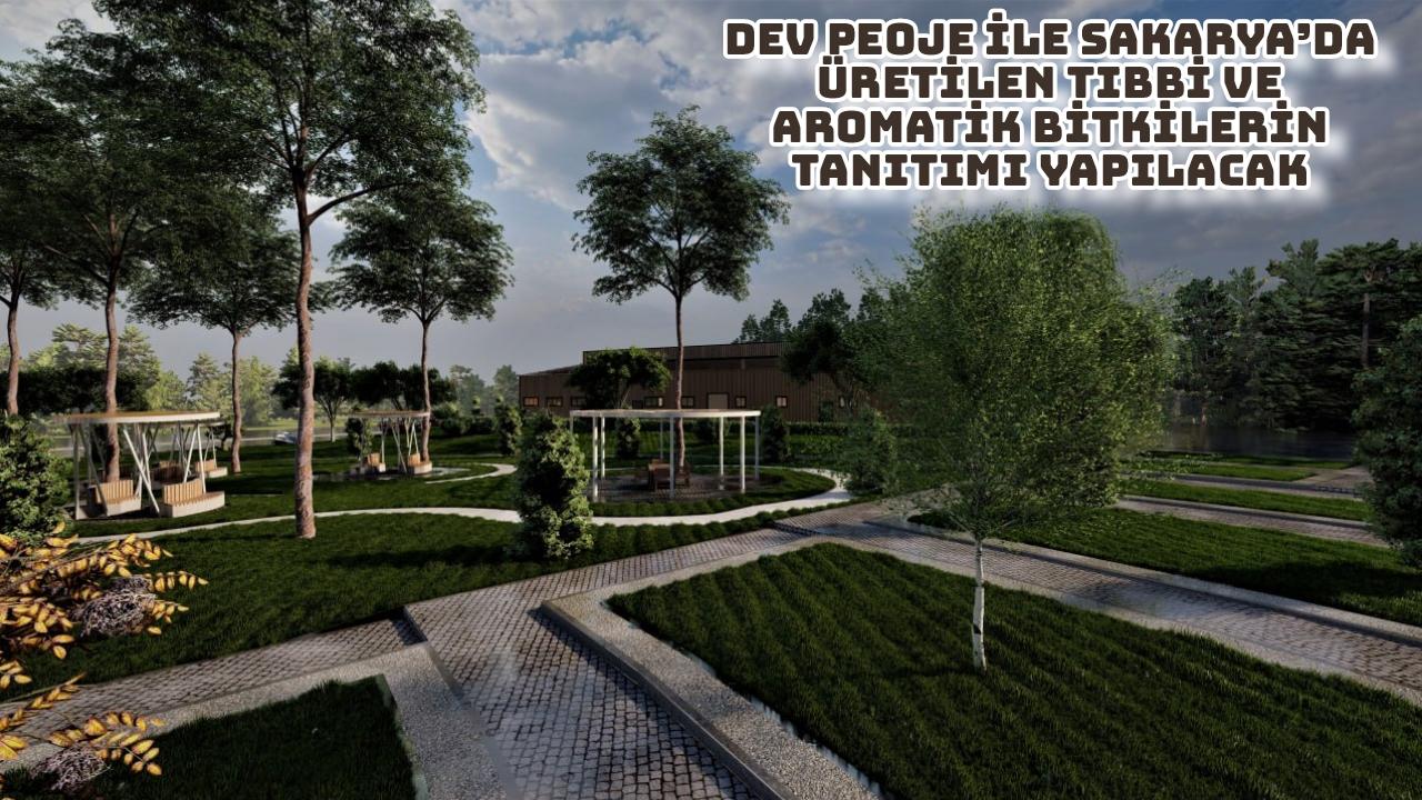 Başkan Yüce duyurmuştu: Botanik Park projesi hız kazandı
