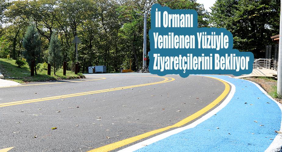 Büyükşehir İl Ormanı yenilenen yüzüyle ziyaretçilerini bekliyor