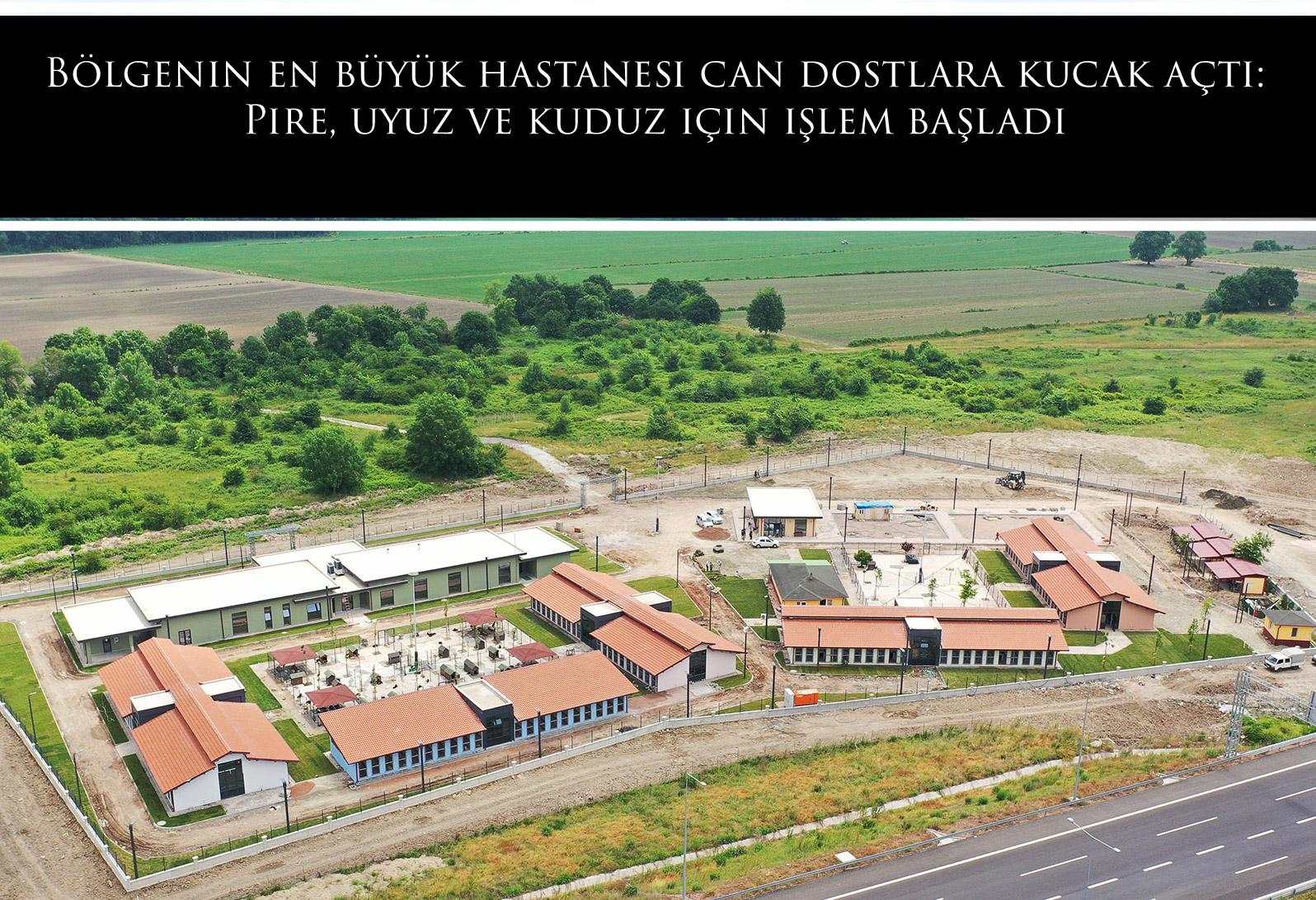 Bölgenin en büyük hastanesi can dostlara kucak açtı: Pire, uyuz ve kuduz için işlem başladı 