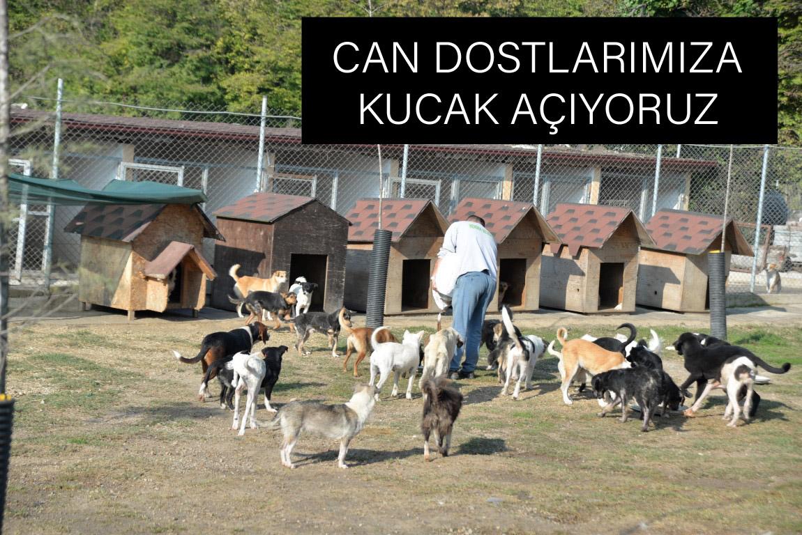 CAN DOSTLARIMIZA KUCAK AÇIYORUZ  