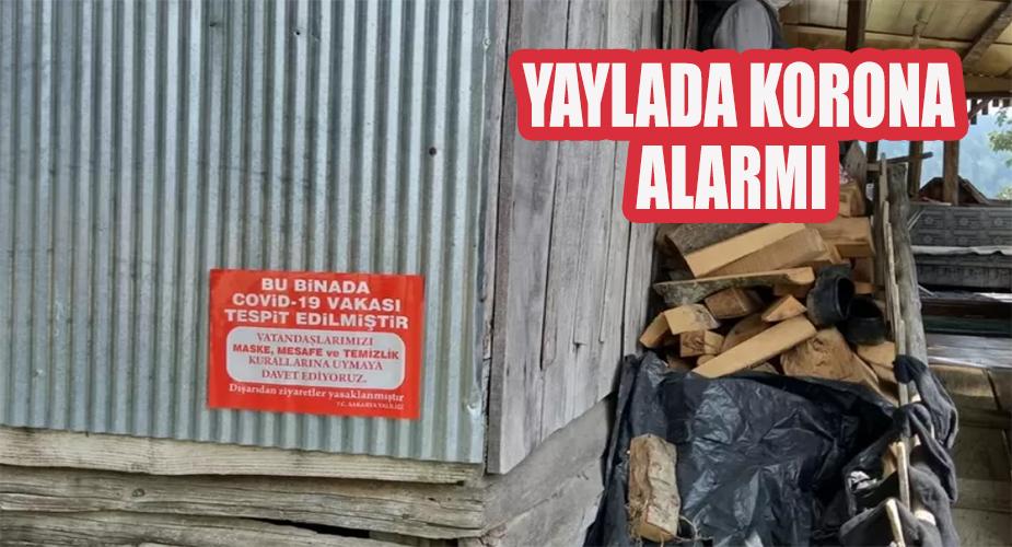 24 saatte 50 vaka tespit edildi, bir yayla evi karantinada 