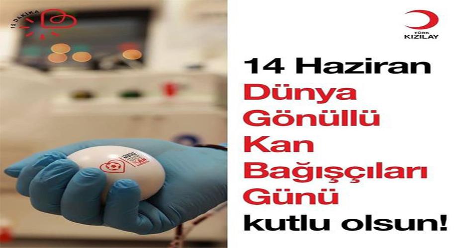 AKYAZI'DA 14 HAZİRAN DÜNYA GÖNÜLLÜ KAN BAĞIŞÇILARI HAFTASI ETKİNLİĞİ 