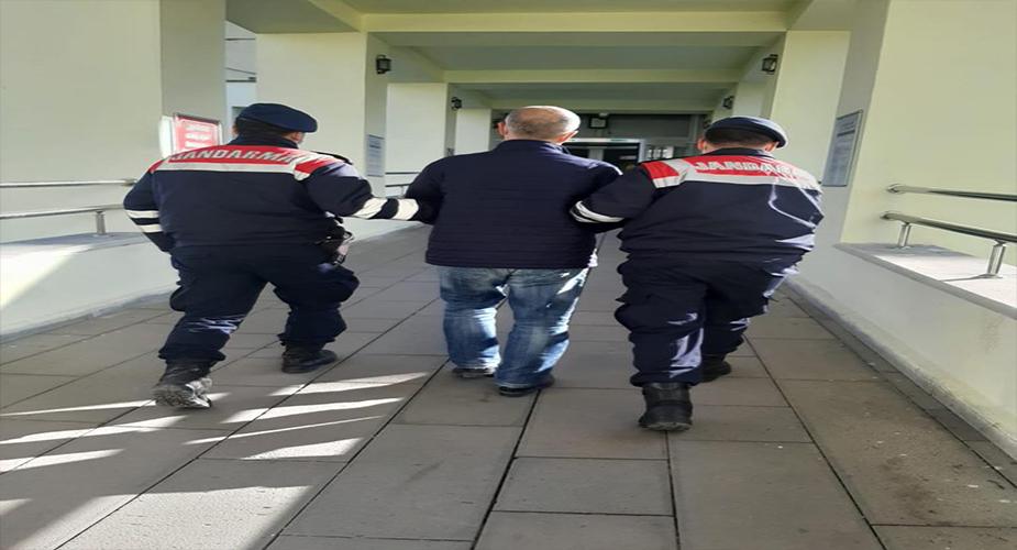 Jandarma TEM Yakaladı