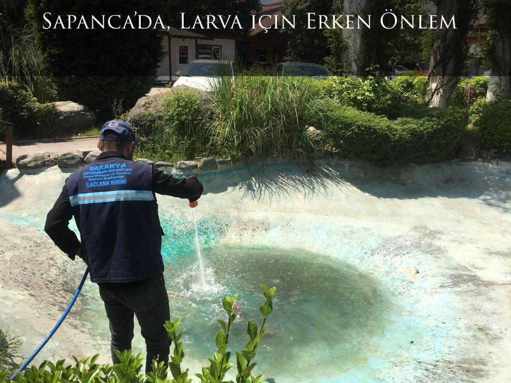 Sapanca’da, Larva için Erken Önlem