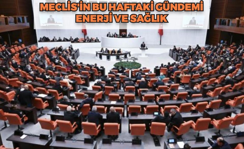 MECLİSİN BU HAFTAKİ GÜNDEMİ ENERJİ VE SAĞLIK 