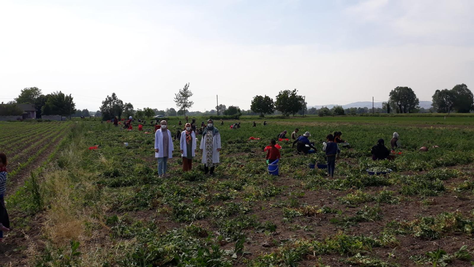 Mevsimlik İşçilere Sağlık Taraması Yapıldı