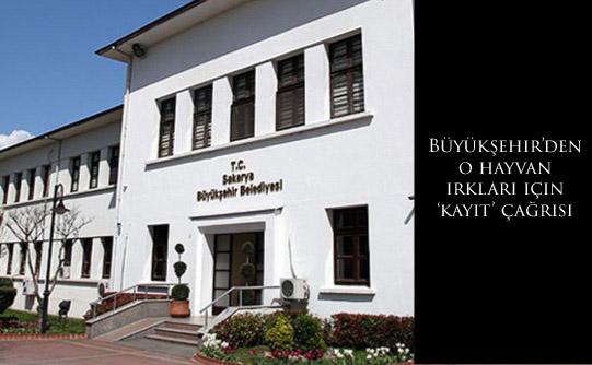 Büyükşehir’den o hayvan ırkları için ‘kayıt’ çağrısı