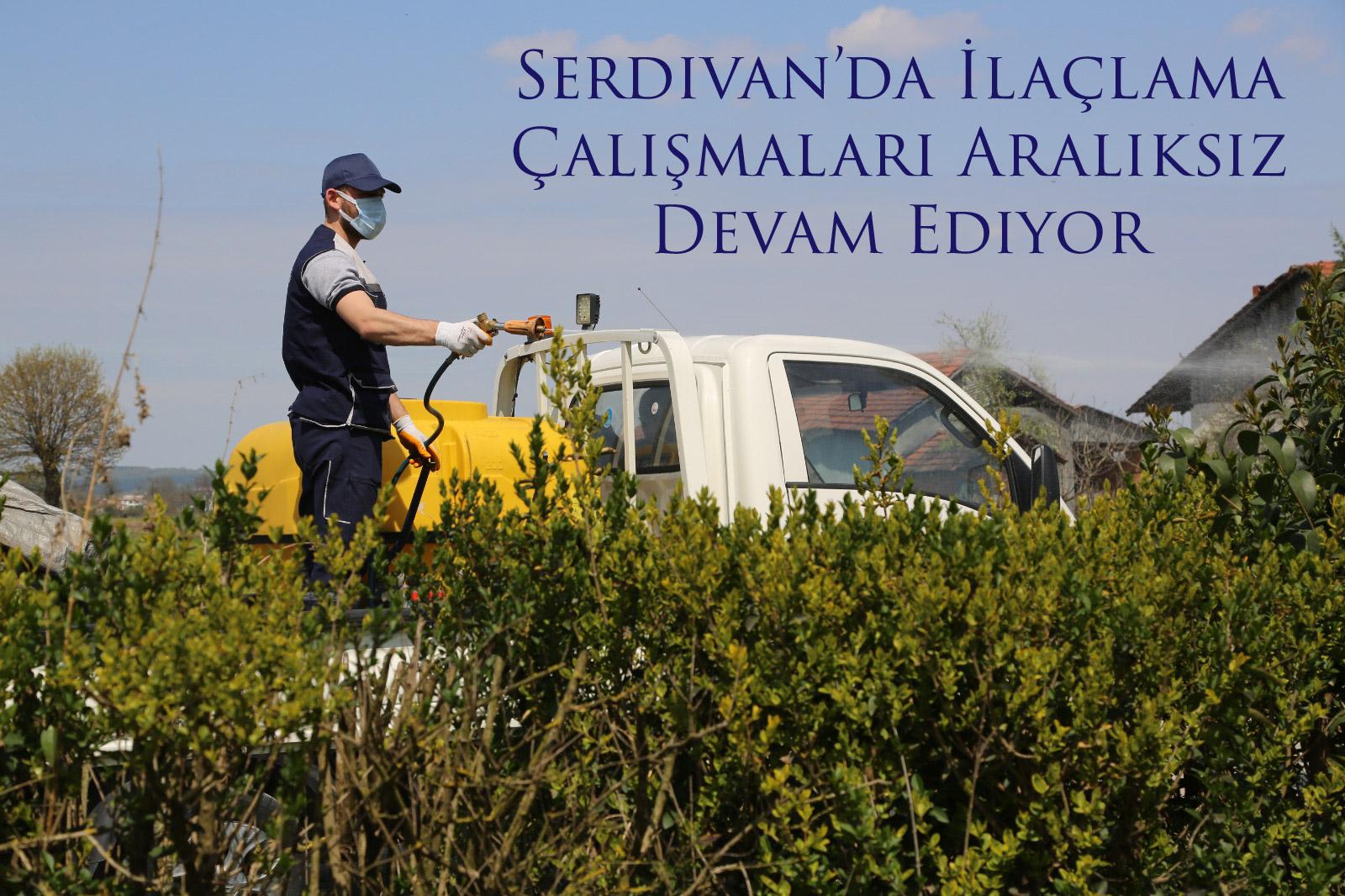 Serdivan’da İlaçlama Çalışmaları Aralıksız Devam Ediyor