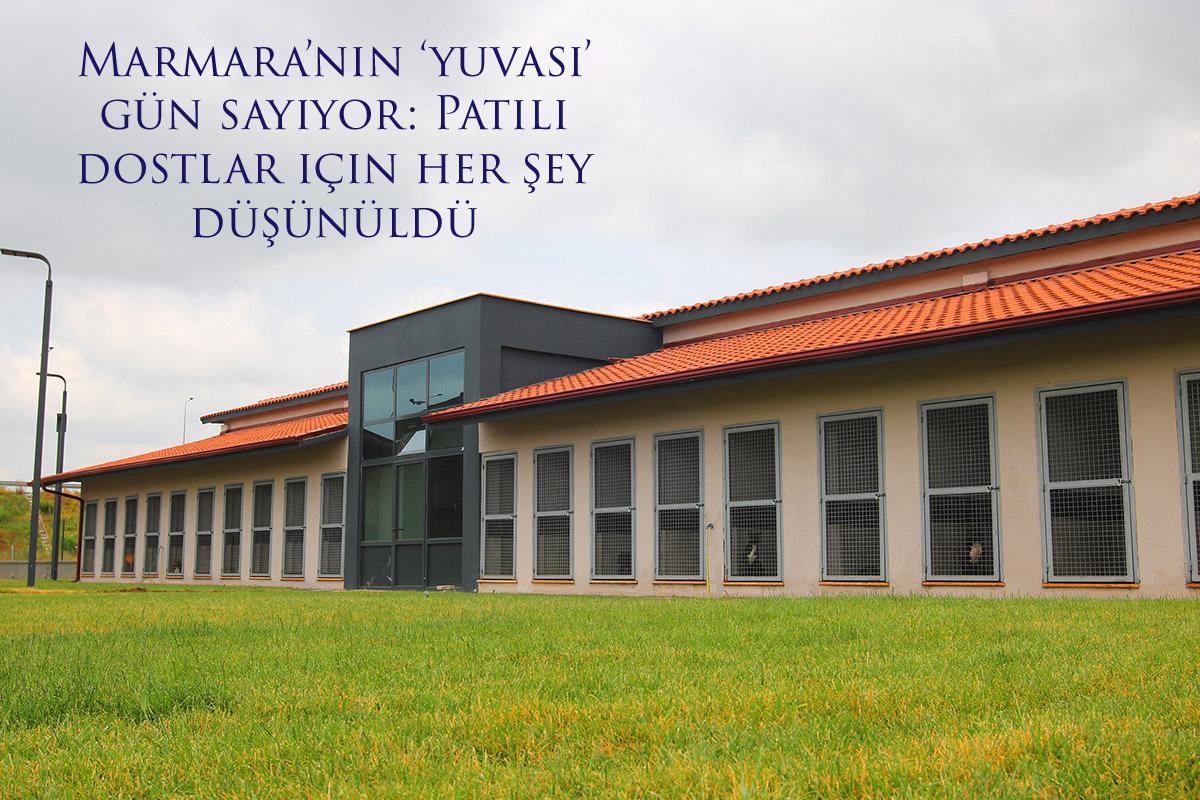 Marmara’nın ‘yuvası’ gün sayıyor: Patili dostlar için her şey düşünüldü
