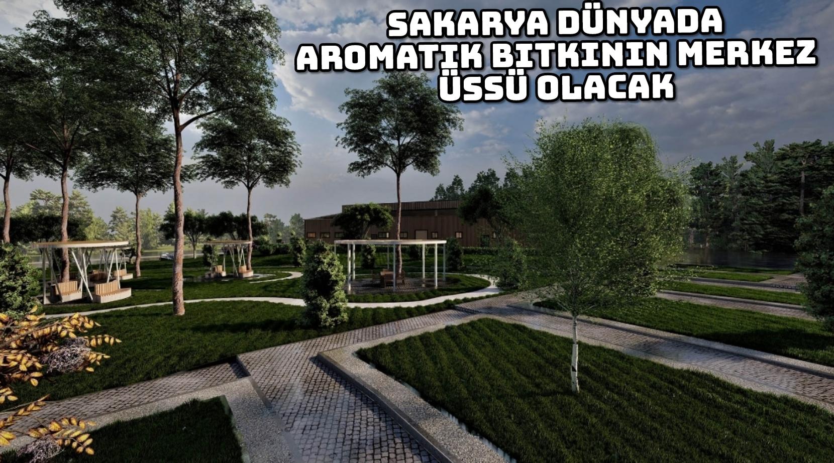 Sakarya dünyada aromatik bitkinin merkez üssü olacak