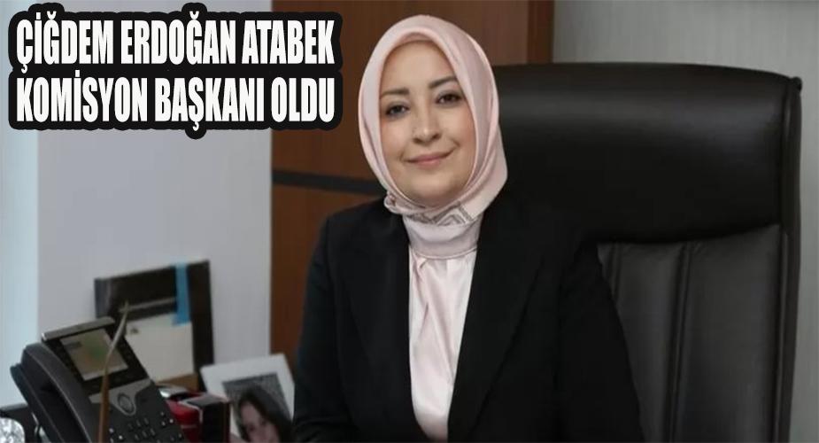 Çiğdem Erdoğan Atabek komisyon başkanı oldu  