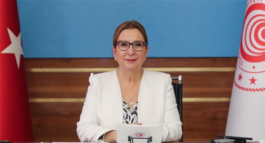 Esnaf ve Sanatkarlara Sağlanan Destekler İçin Başvuru Süresi Uzatıldı