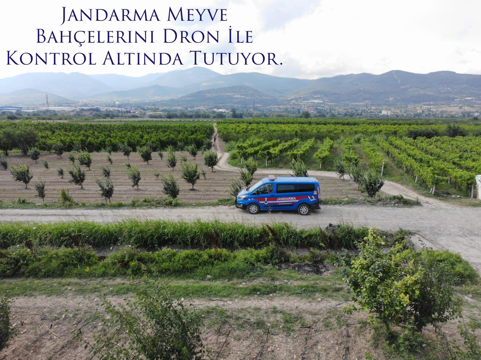 Jandarma Meyve Bahçelerini Dron İle Kontrol Altında Tutuyor.