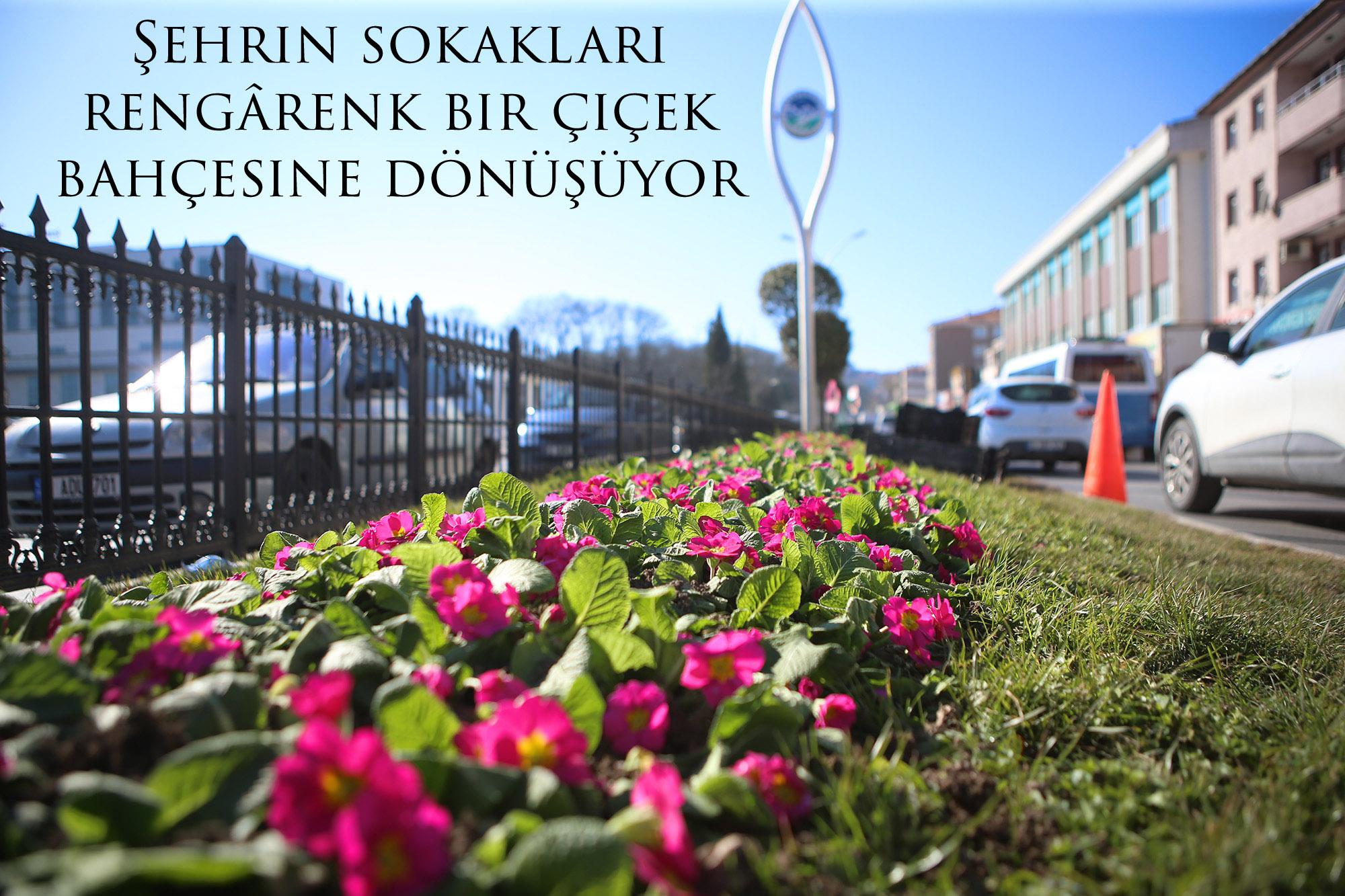 Şehrin sokakları rengarenk bir çiçek bahçesine dönüşüyor