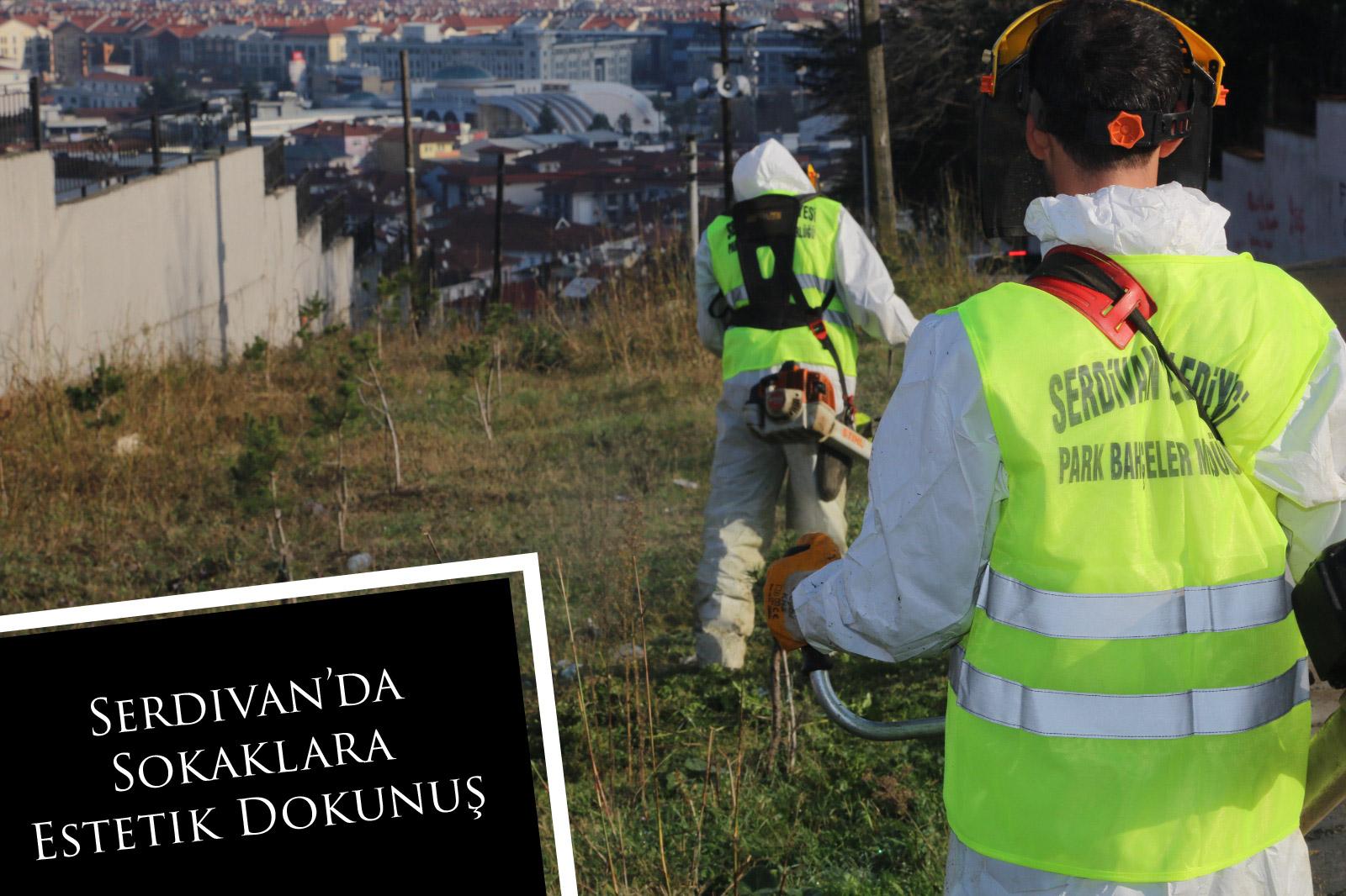 Serdivan’da Sokaklara Estetik Dokunuş