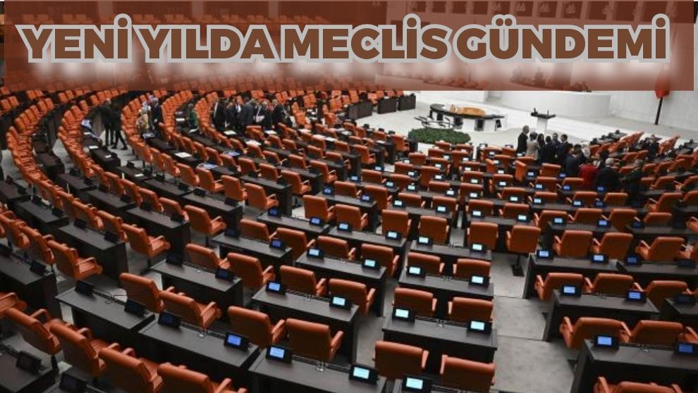 Yeni yılda Meclis gündemi: İşte beklenen düzenlemeler