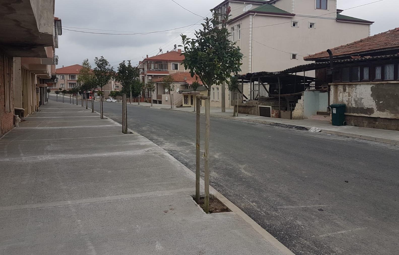 Hedef 3 Bin Ağaç