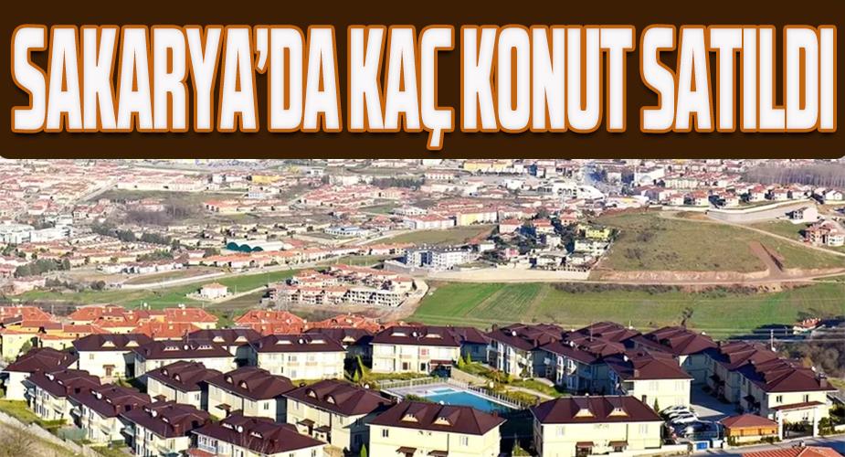 Sakarya'da kaç konut satıldı? 