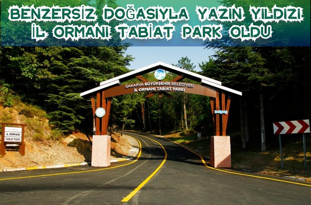 Benzersiz doğasıyla yazın yıldızı İl Ormanı Tabiat Park oldu