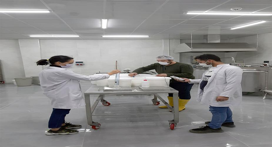 Pamukova’ya Özgü Süt Ürünleri Geliştirilecek