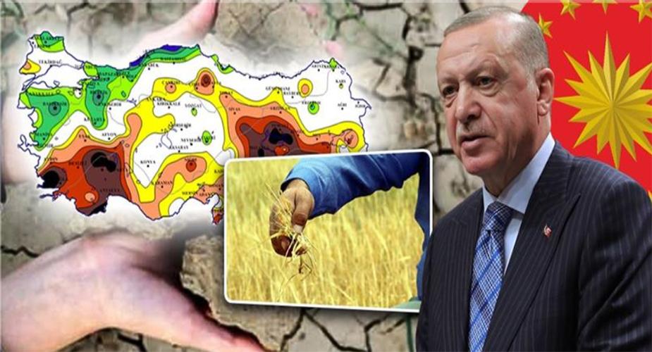 CUMHURBAŞKANI ERDOĞAN’DAN ÇİFTÇİLERE MÜJDE