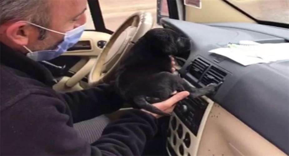 Polis Köpek Yavrusunu Ekip Otosunda Isıttı