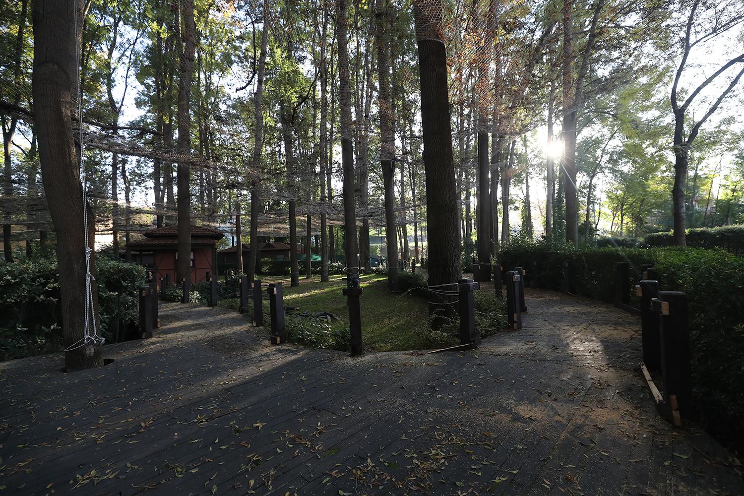 Orman Park Yenileniyor