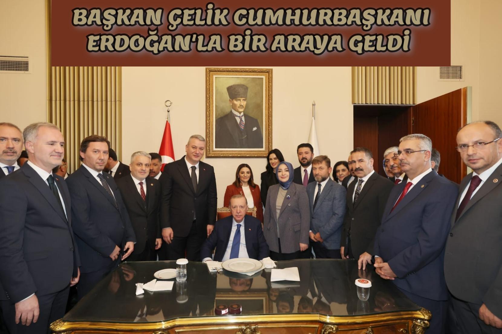 Başkan Çelik, Cumhurbaşkanı Erdoğan'la Bir Araya Geldi