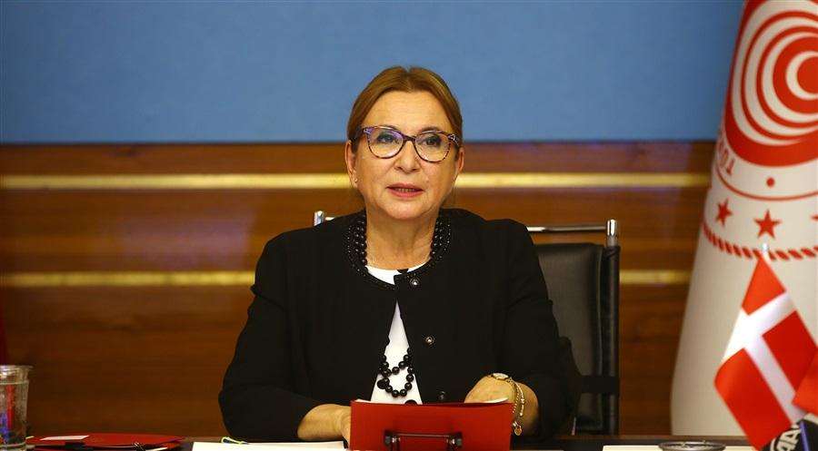 İhracatçılarımızın Yüksek Potansiyel Arz Eden Ülkelerdeki Faaliyetlerine İlave Destekler Sağlanıyor