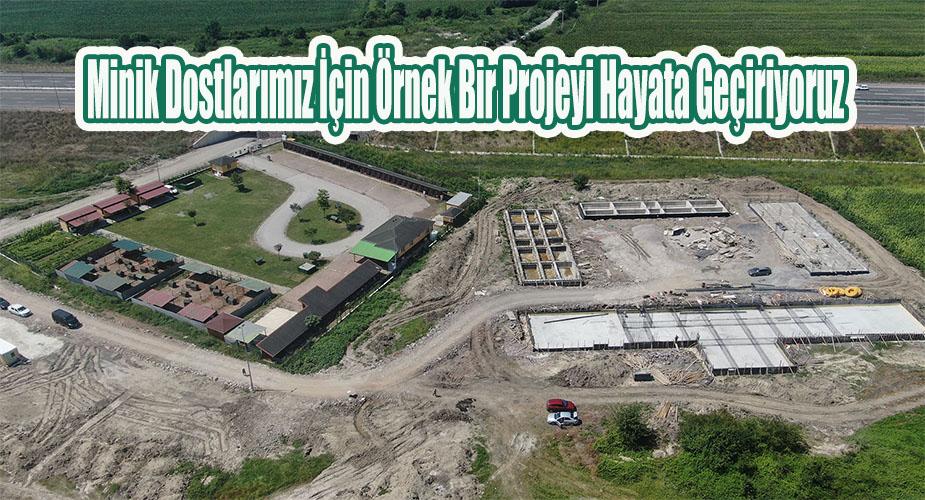 Büyükşehir Belediyesi 17 bin metrekarelik Rehabilitasyon Merkezi ile sokakta yaşayan canlılara yuva olacak