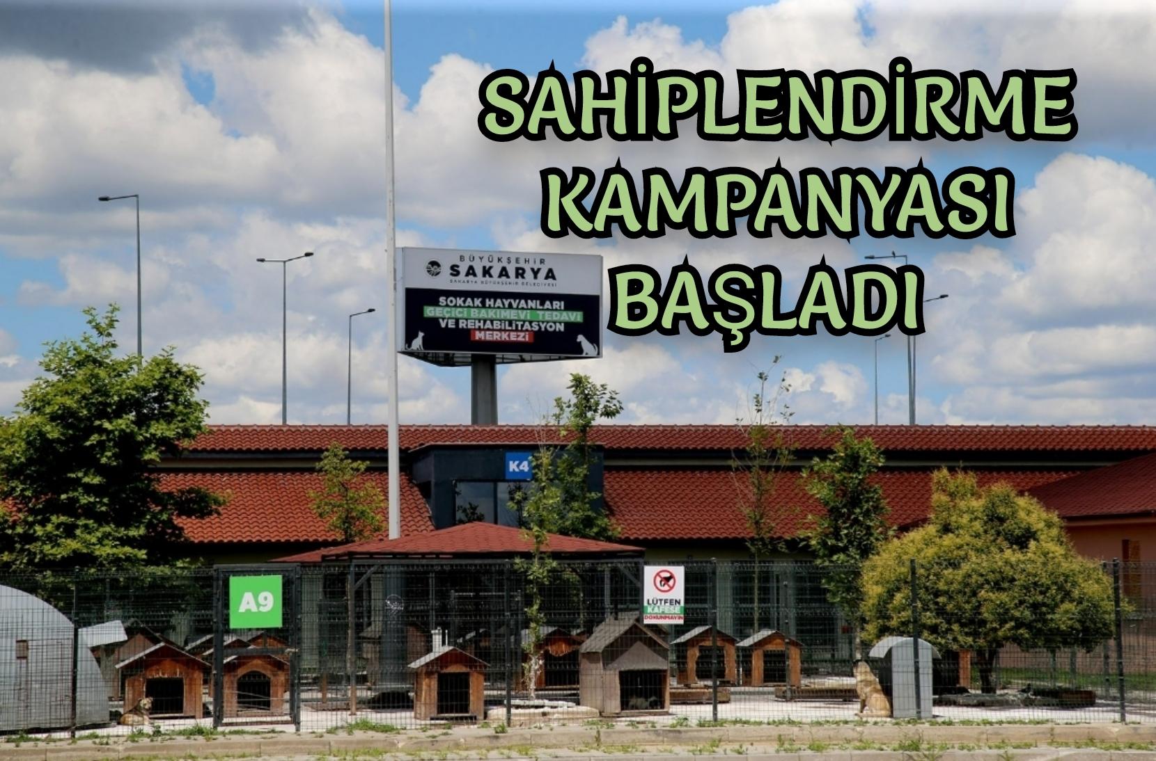 Can dostlar Büyükşehir’in ‘Pati İzi’ ile yuvalarını buluyor: ‘Sahiplendirme’ kampanyası başladı
