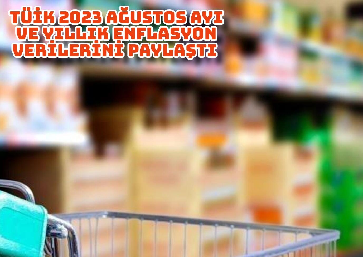 TÜİK 2023 Ağustos ayı ve yıllık enflasyon verilerini paylaştı  