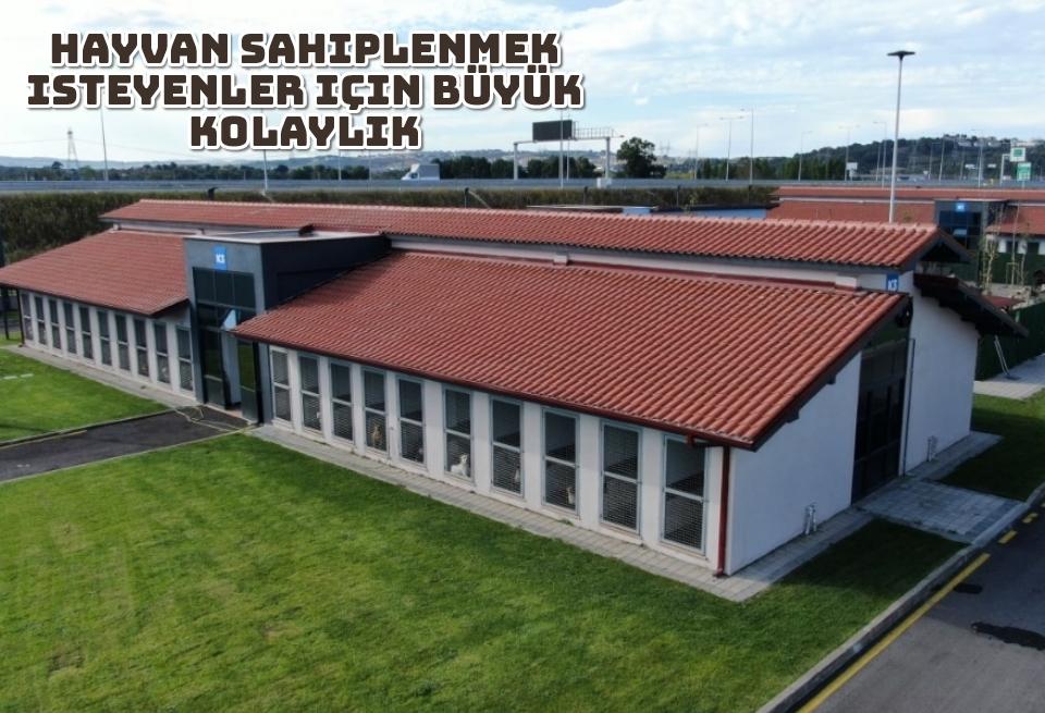 Büyükşehir başvurular için yeni uygulamayı hizmete aldı