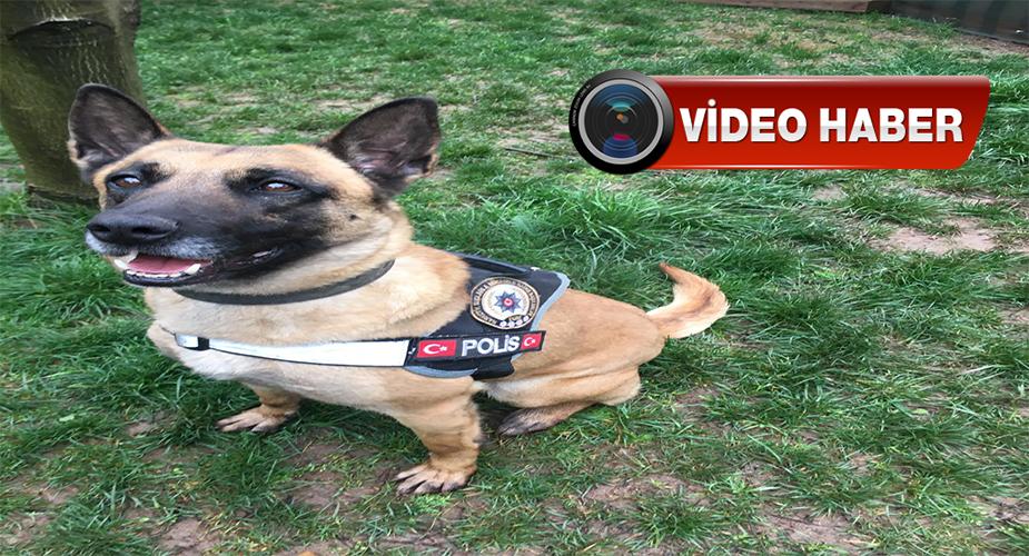Narkotik Köpeği EVA, Aralık Ayı Birincisi oldu