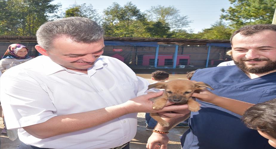 Yaşayan Her Canlı Dünya Üstünde Misafirdir