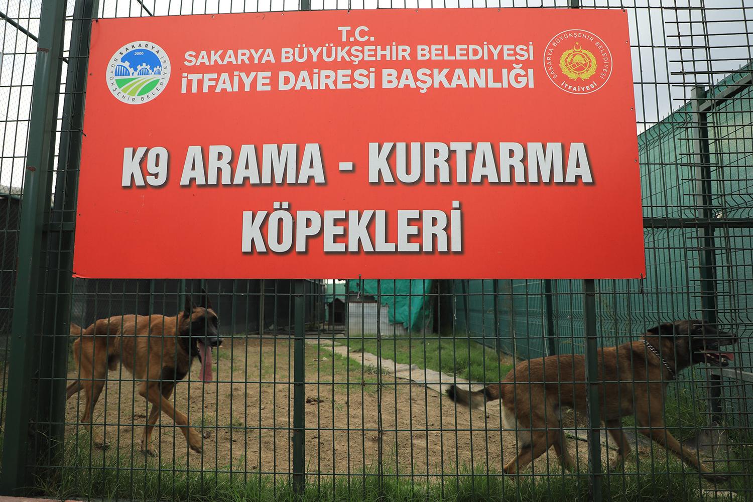 K9 LAR ARAMA KURTARMA ÇALIŞMALARI İÇİN İZMİR'E GİDİYOR