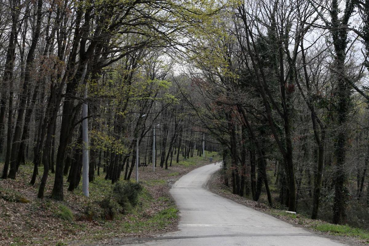 Salgın Doğanın Önemini Gözler Önüne Serdi İl Ormanı Tabiat Parkı Doğaseverlerin Yeni Gözdesi Olacak