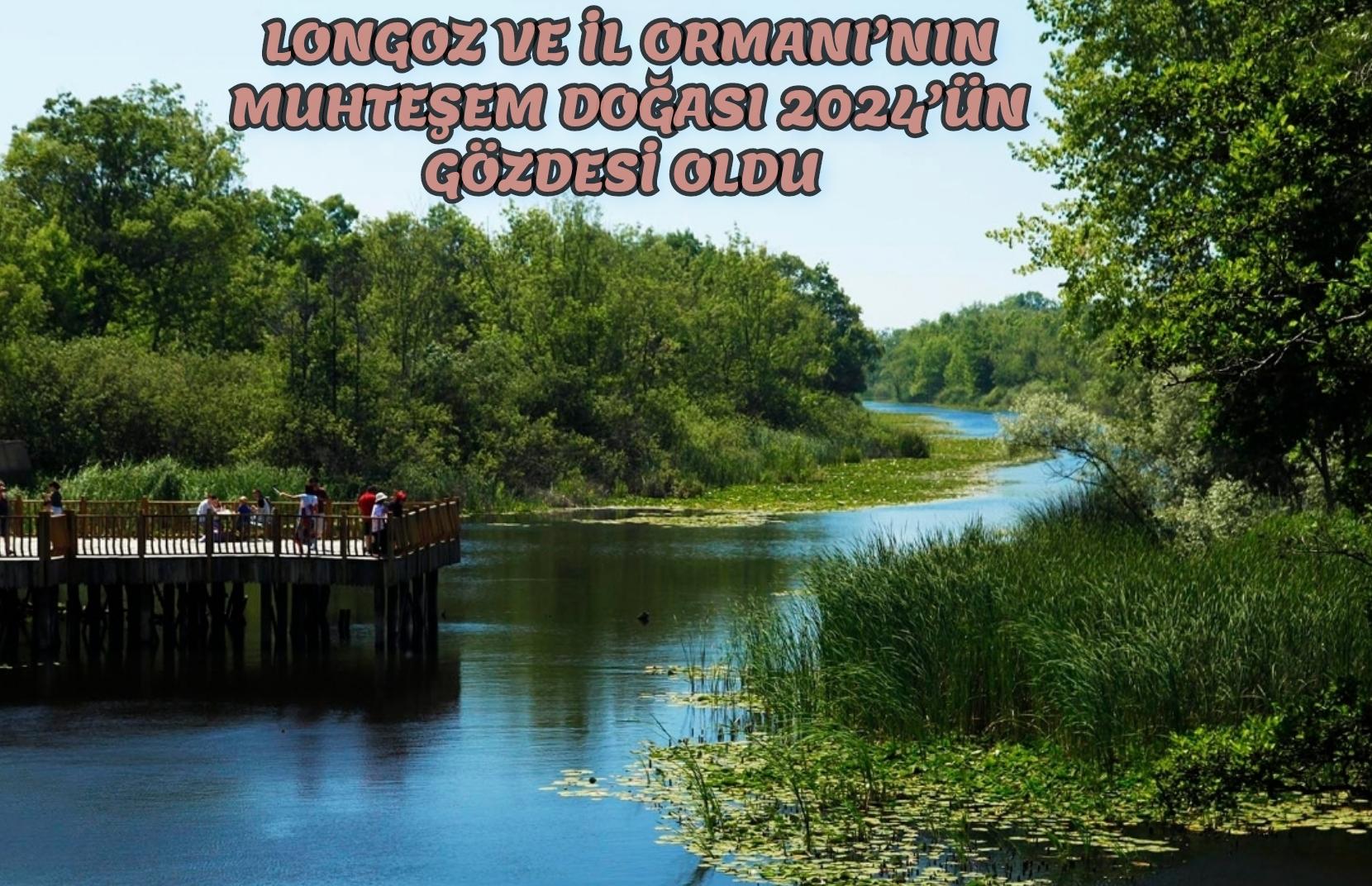 Longoz ve İl Ormanı’nın muhteşem doğası 2024’ün gözdesi oldu: Rekor ziyaretçi rakamı